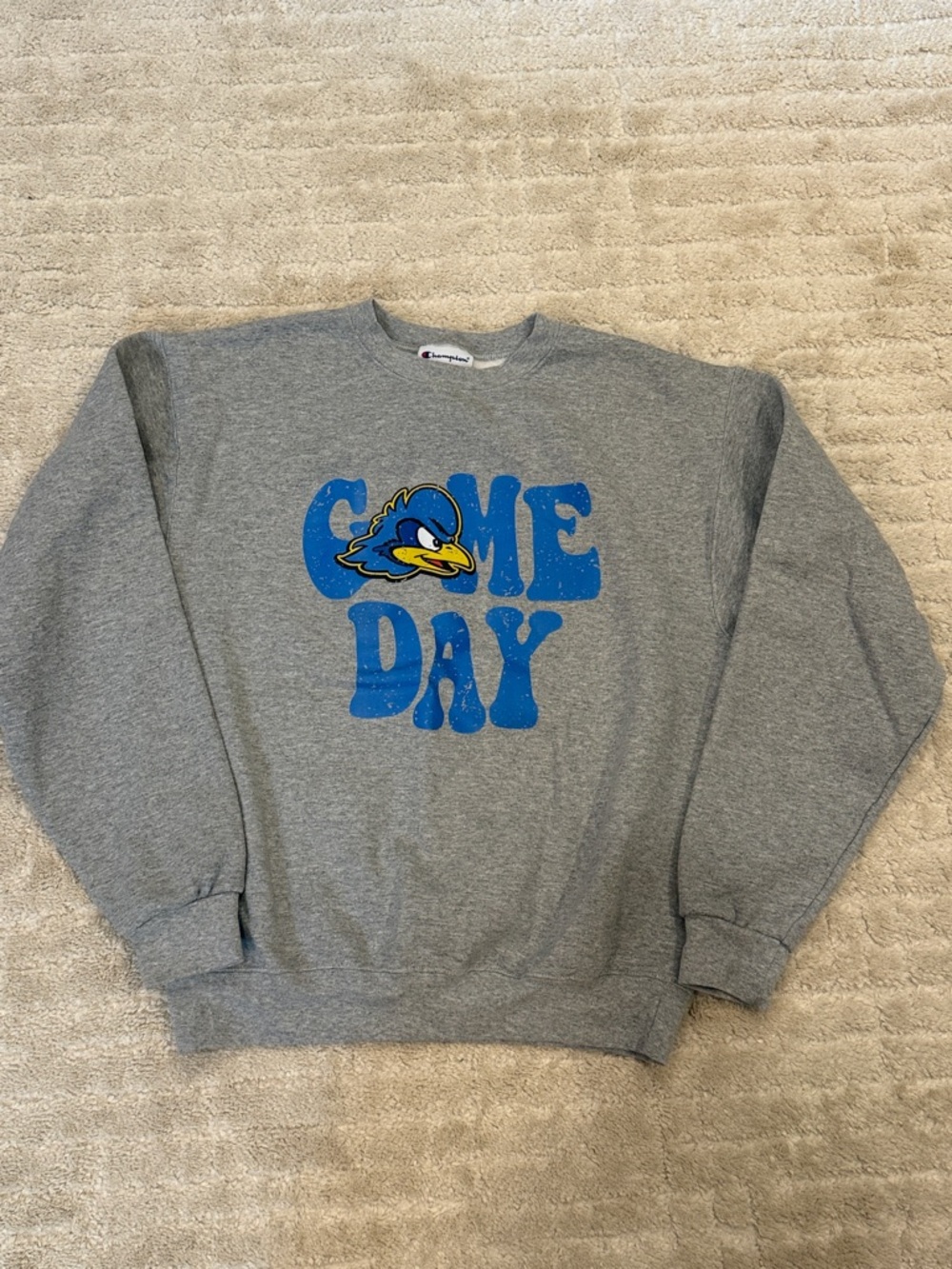 University of Delaware Champion Crewneck Sweatshirt NWOT
